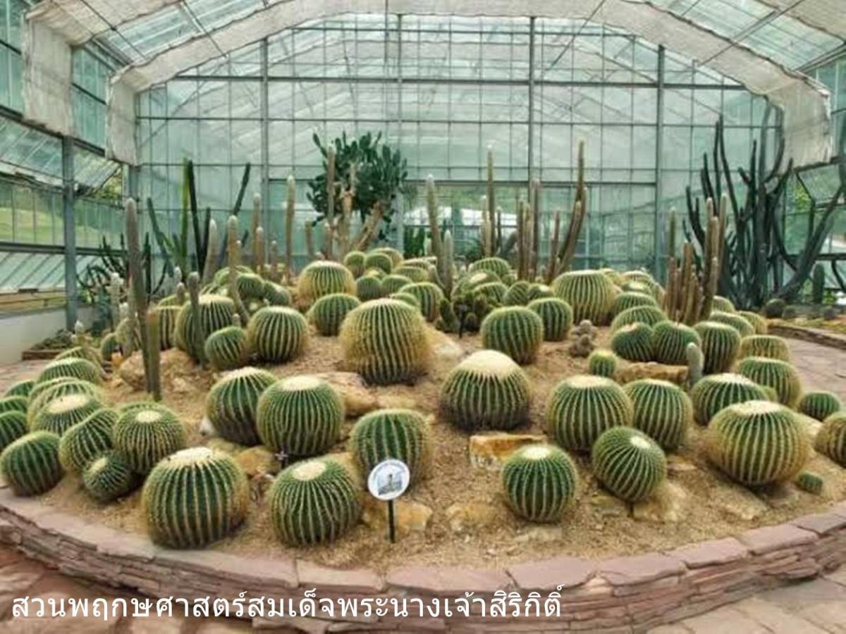 The Greenery Central Suite & Hotel Чиангмай Экстерьер фото